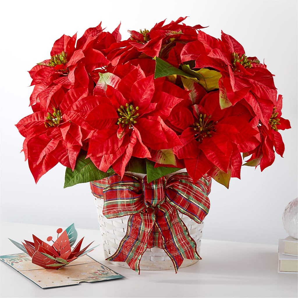 Happiest Holidays Poinsettia and Lovepop Card – The Owls Nest Florist, York SC