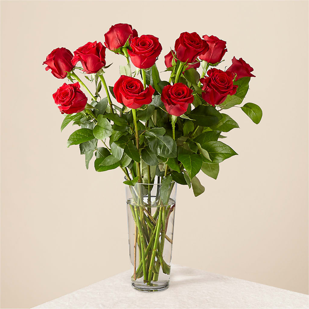 Long Stem Red Rose Bouquet – The Owls Nest Florist, York SC