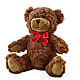Adorable Plush Bear – The Owls Nest Florist, York SC