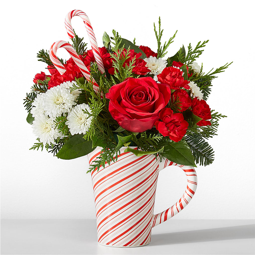 Peppermint Swirl Mug – The Owls Nest Florist, York SC