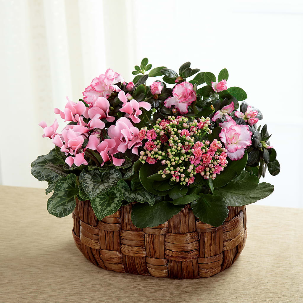 Pink Assortment – The Owls Nest Florist, York SC