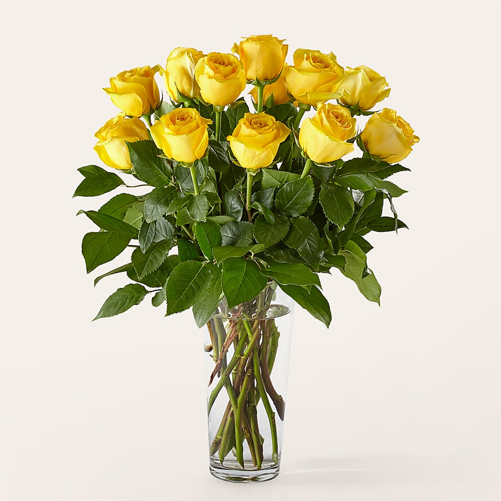 Long Stem Yellow Rose Bouquet – The Owls Nest Florist, York SC