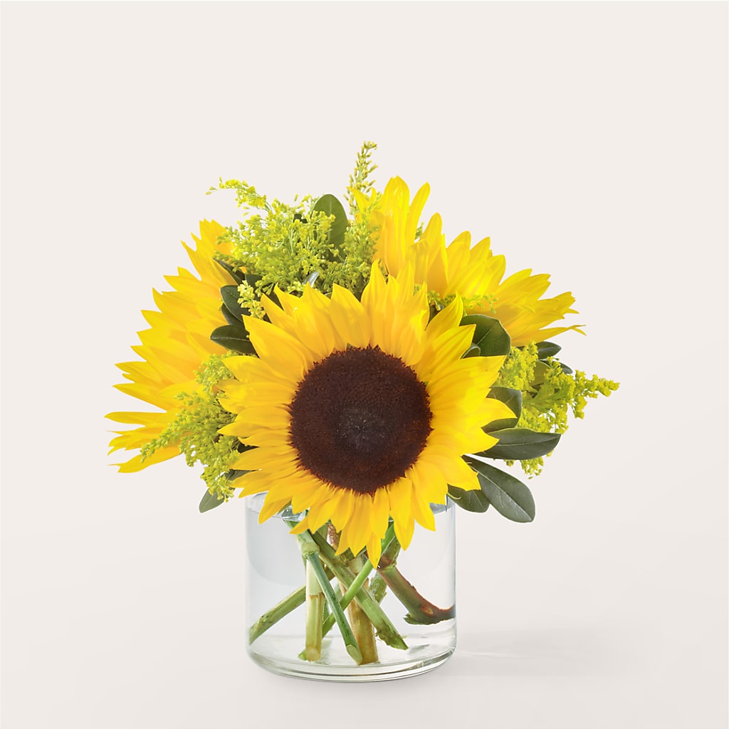Beaming Sunflower Bouquet – The Owls Nest Florist, York SC