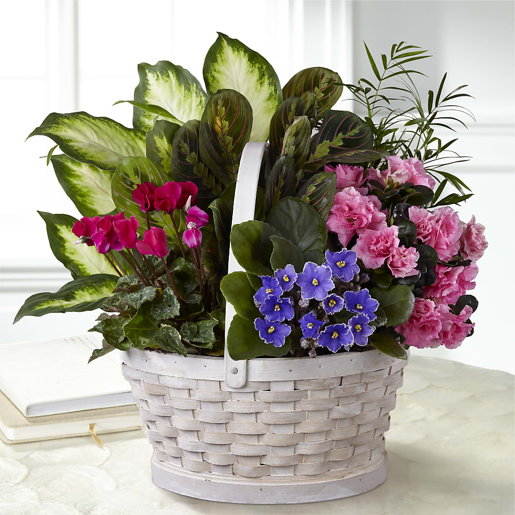 Peaceful Garden Planter – The Owls Nest Florist, York SC