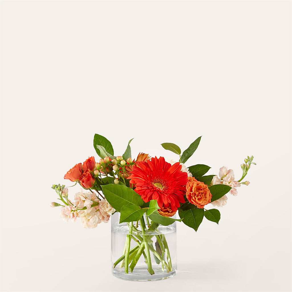 Paloma Please Bouquet – The Owls Nest Florist, York SC