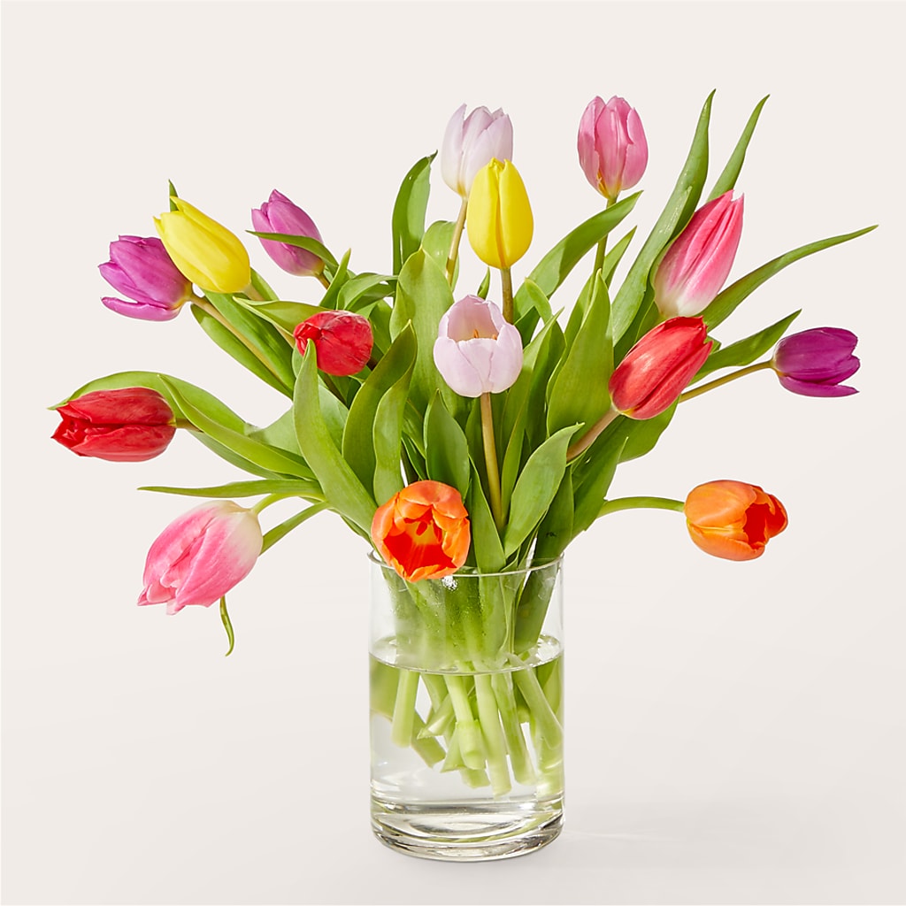 Let's Talk Tulips Bouquet – The Owls Nest Florist, York SC