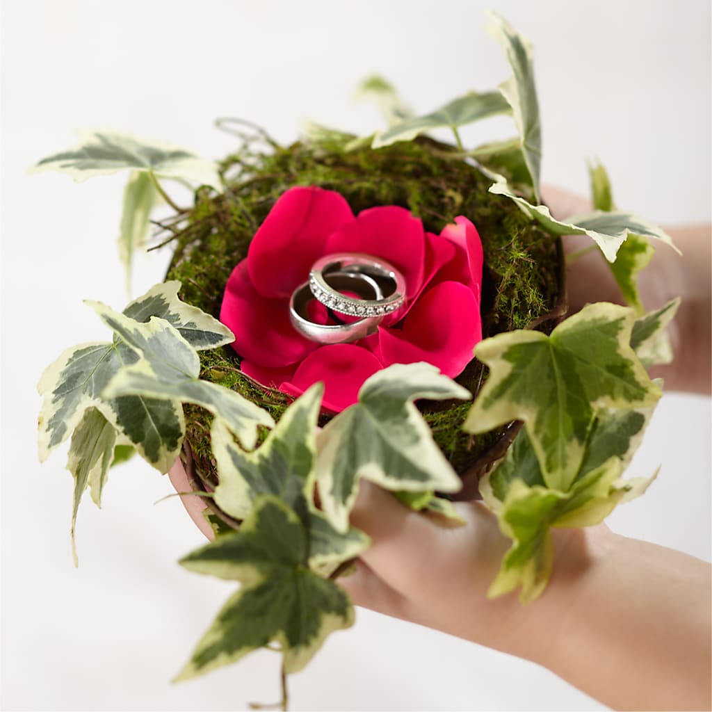 Lila Rose Ring Nest – The Owls Nest Florist, York SC
