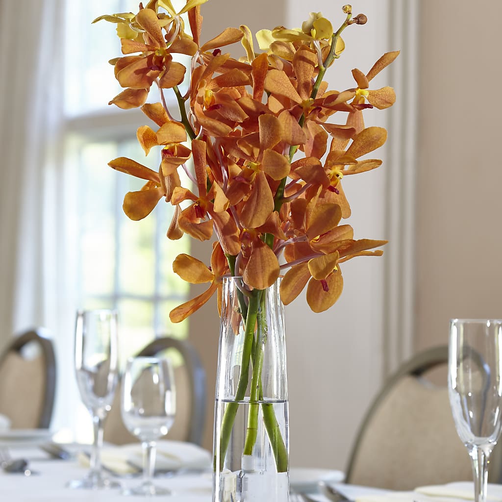 Orange Mokara Bud Vase – The Owls Nest Florist, York SC