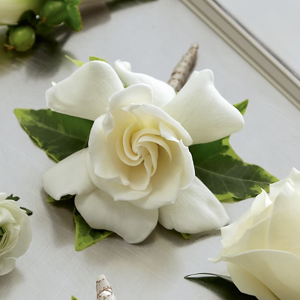 Gardenia Boutonniere – The Owls Nest Florist, York SC