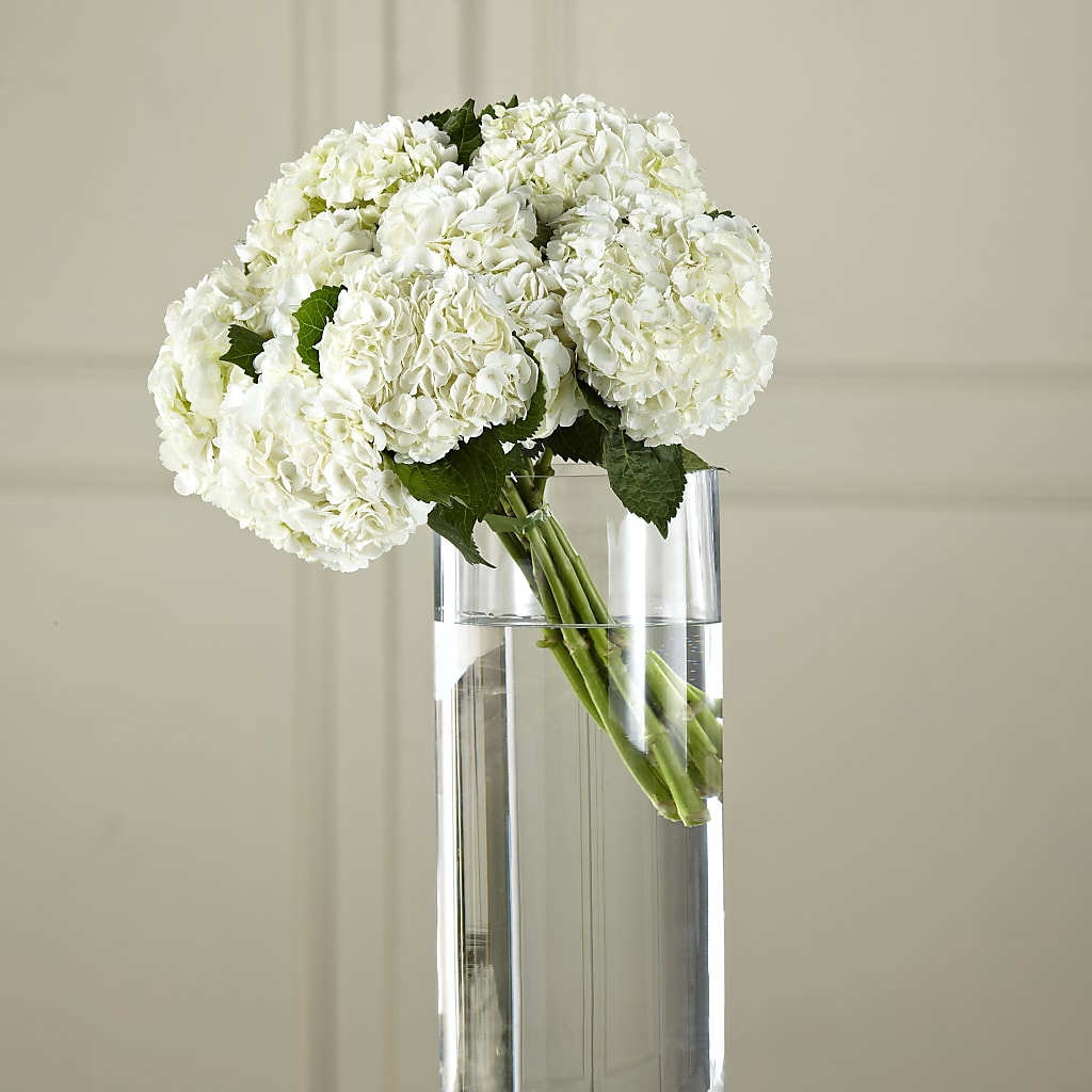 White Hydrangea Hand-Tied Bouquet – The Owls Nest Florist, York SC