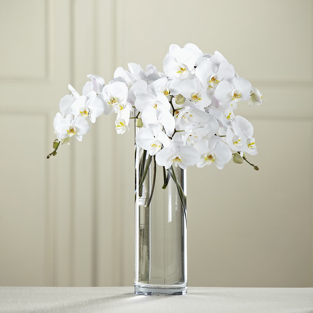 White Phalaenopsis Bouquet – The Owls Nest Florist, York SC
