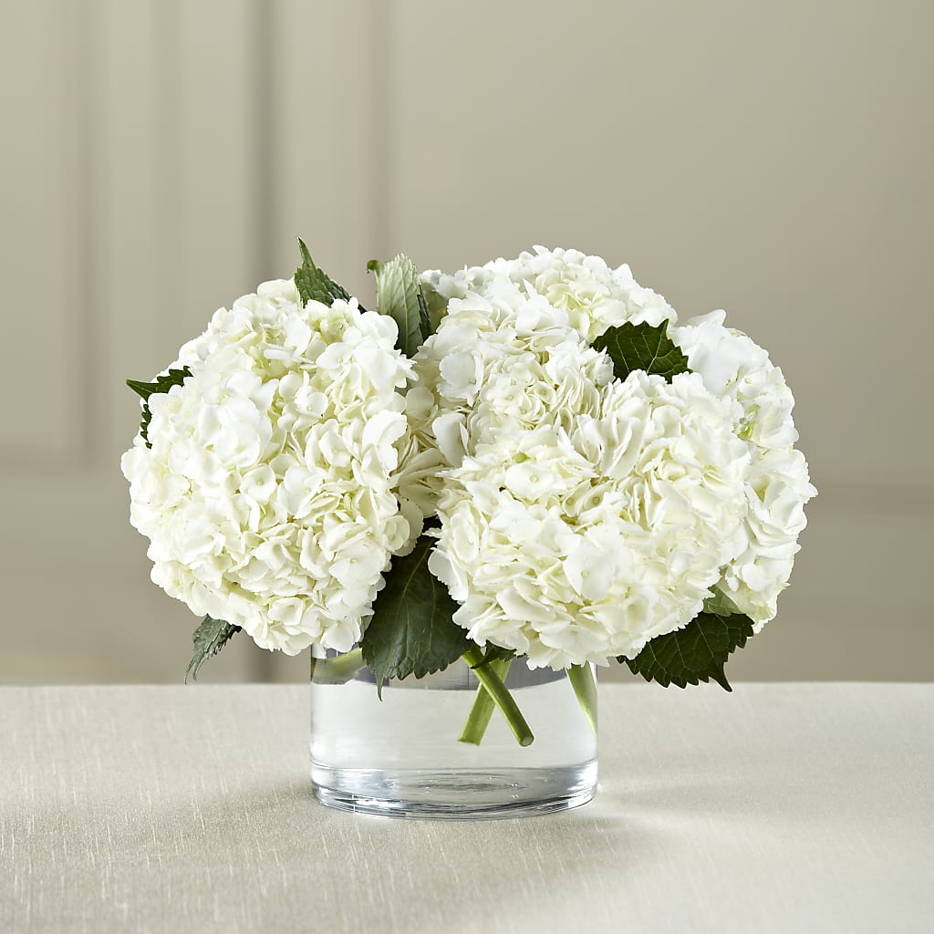 White Hydrangea Bouquet – The Owls Nest Florist, York SC