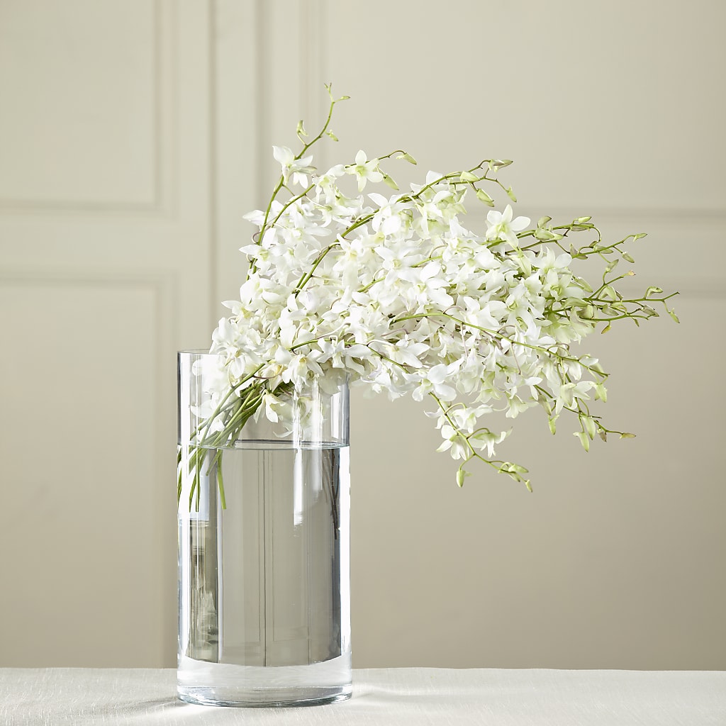 White Dendrobium Bouquet – The Owls Nest Florist, York SC
