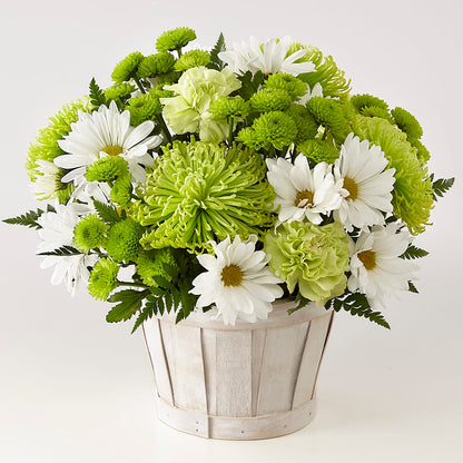 Lucky Charm Basket (Standard) –  The Owls Nest Florist, York SC