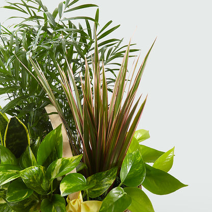 French Garden –  The Owls Nest Florist, York SC