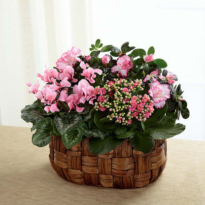 Pink Assortment –  The Owls Nest Florist, York SC