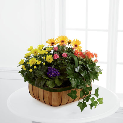 Gentle Blossoms Basket –  The Owls Nest Florist, York SC