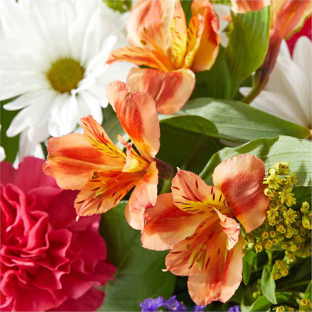 Oopsie Daisy Box Bouquet –  The Owls Nest Florist, York SC