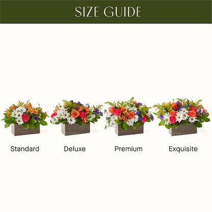 Oopsie Daisy Box Bouquet –  The Owls Nest Florist, York SC