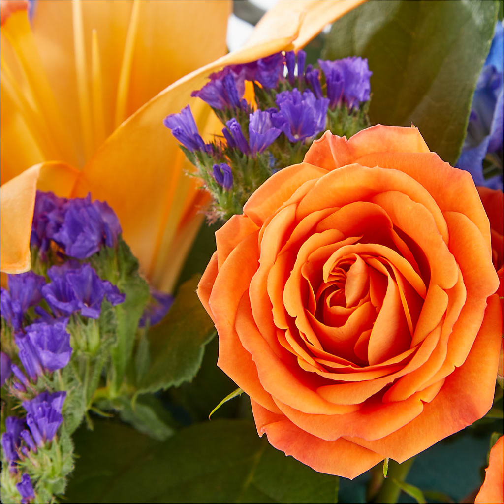 Radiant Citrus Box Bouquet –  The Owls Nest Florist, York SC
