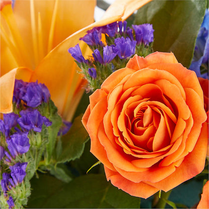 Radiant Citrus Box Bouquet –  The Owls Nest Florist, York SC