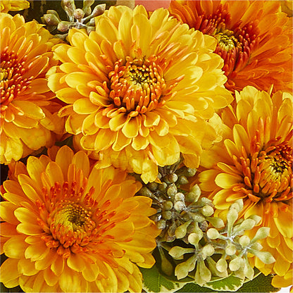 Peachy Pumpkin –  The Owls Nest Florist, York SC