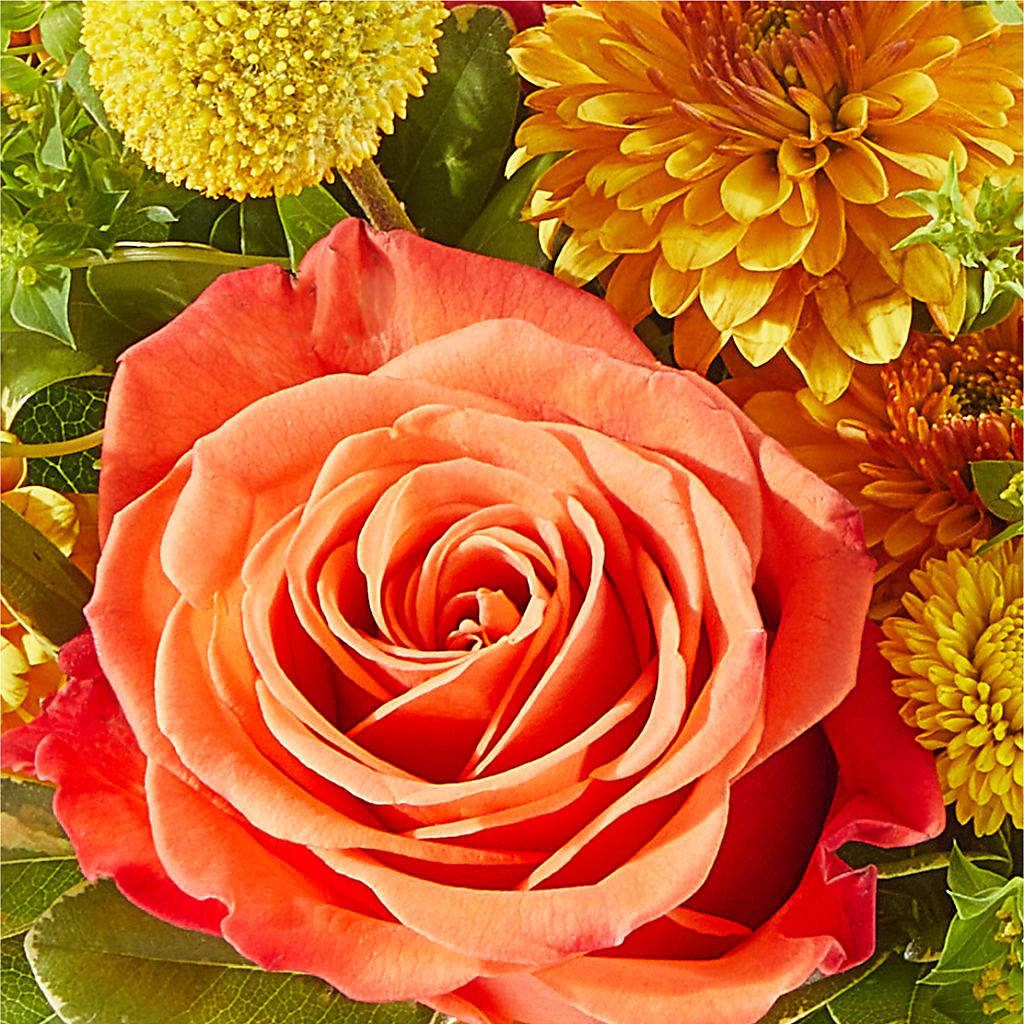 Gourdgeous Pumpkin –  The Owls Nest Florist, York SC