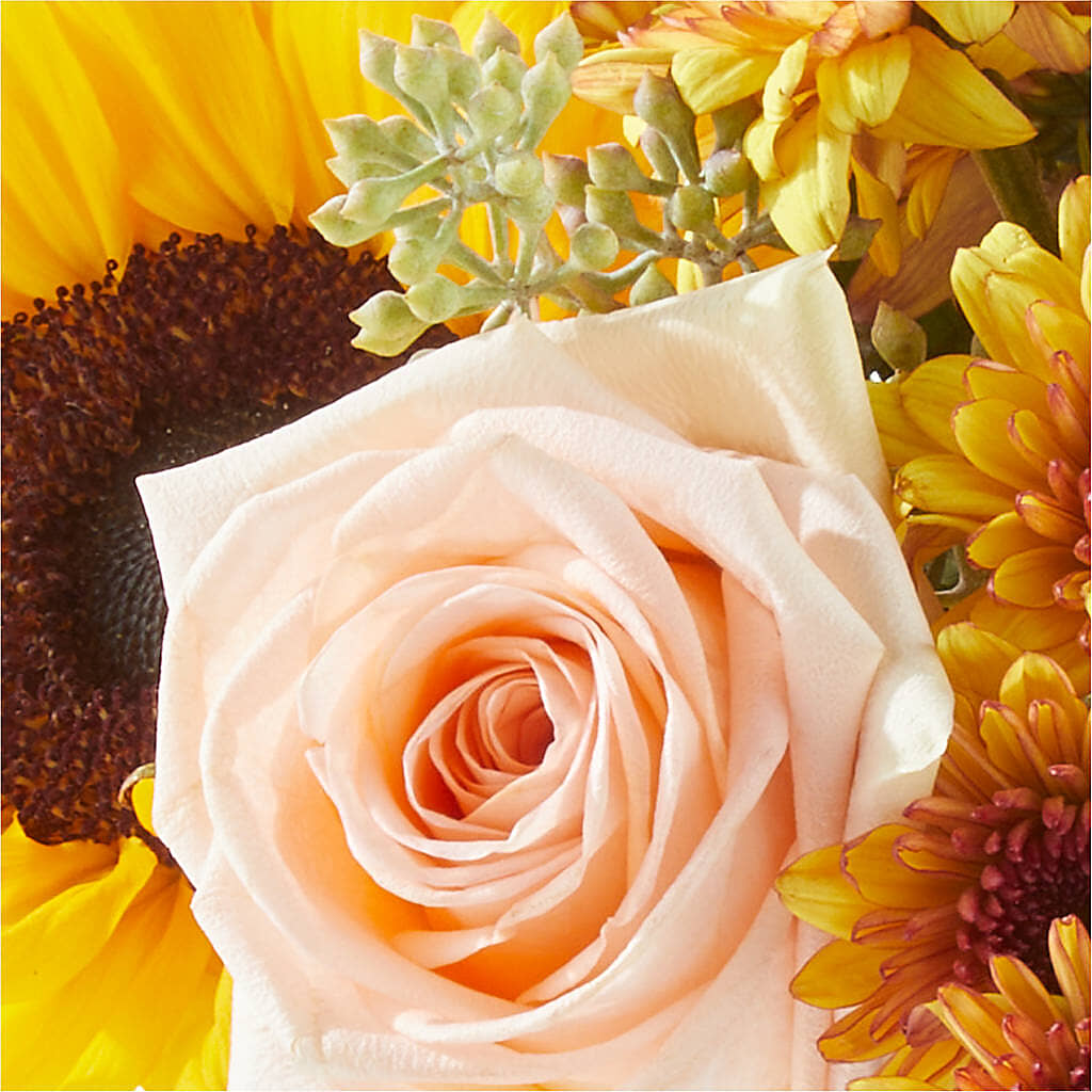 Pumpkin to Talk About Bouquet –  The Owls Nest Florist, York SC