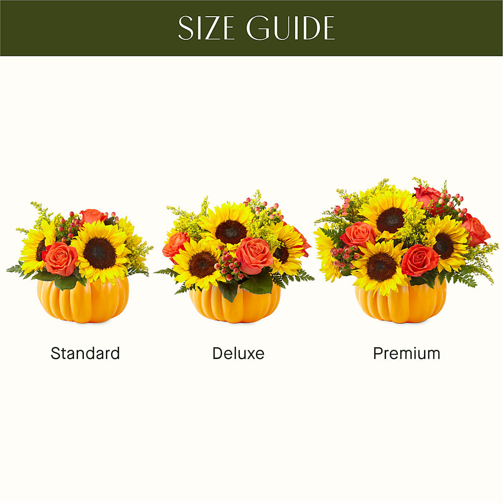 Pick of the Patch Pumpkin Bouquet –  The Owls Nest Florist, York SC