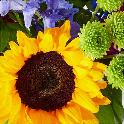 Catching Rays Bouquet –  The Owls Nest Florist, York SC