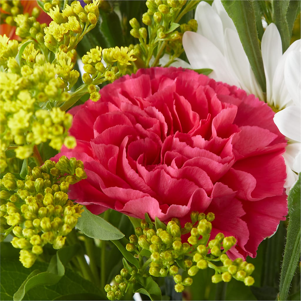 Oopsie Daisy Bouquet –  The Owls Nest Florist, York SC
