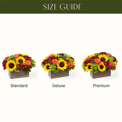 Happy Harvest Garden –  The Owls Nest Florist, York SC