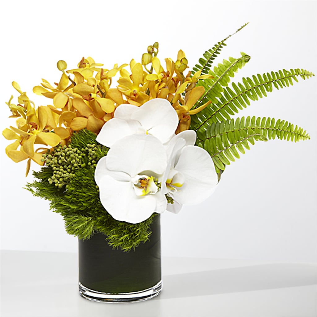 The Tropics –  The Owls Nest Florist, York SC