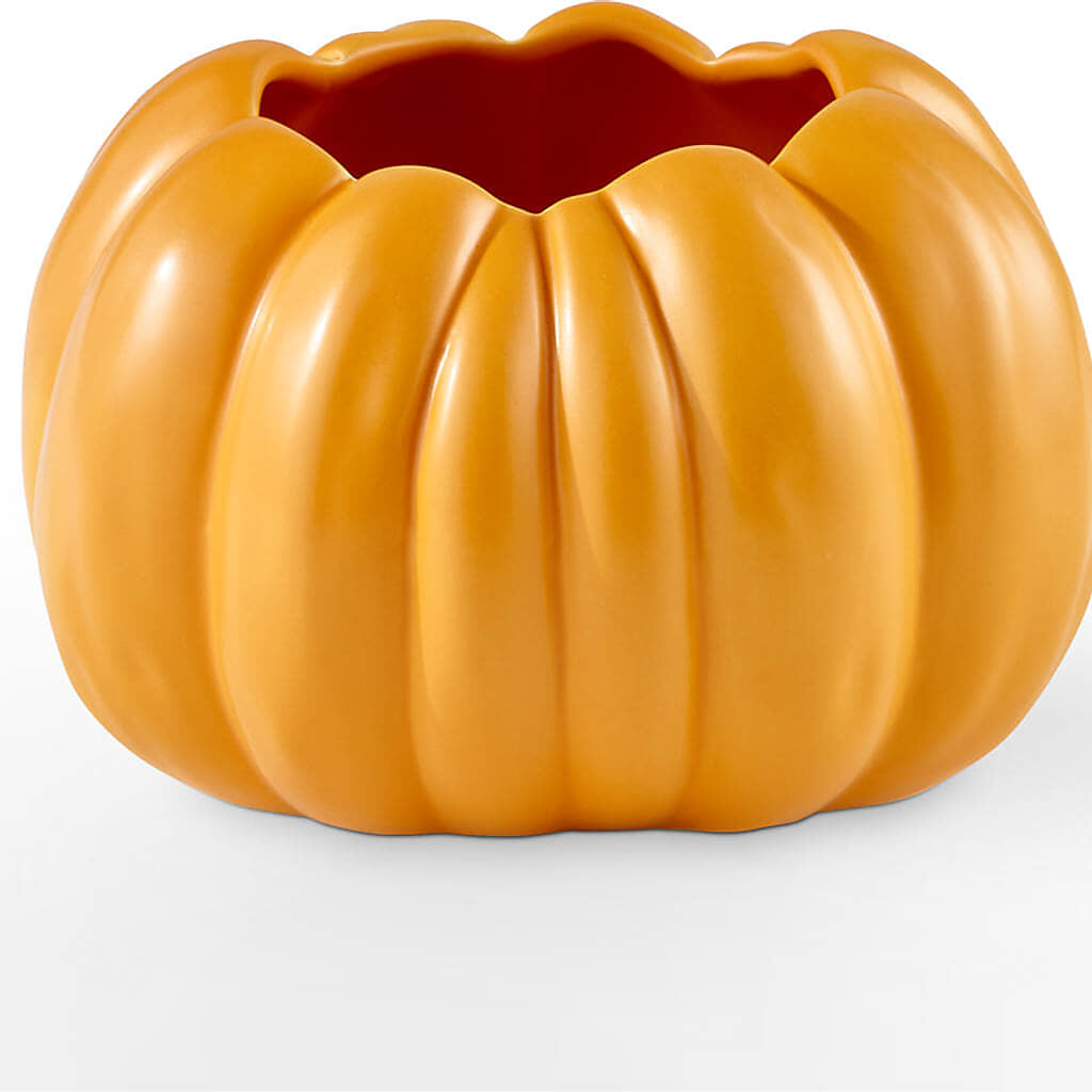 Pick of the Patch Pumpkin Bouquet –  The Owls Nest Florist, York SC