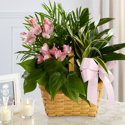 Living Spirit Dishgarden –  The Owls Nest Florist, York SC