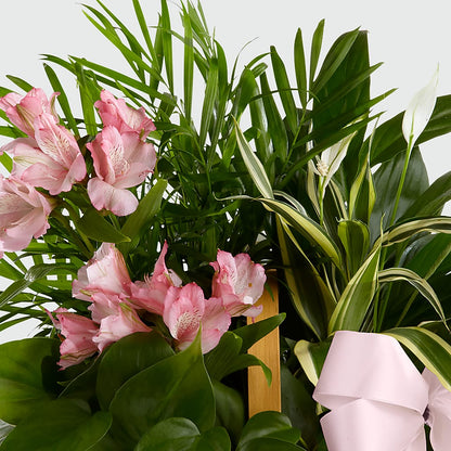 Living Spirit Dishgarden –  The Owls Nest Florist, York SC