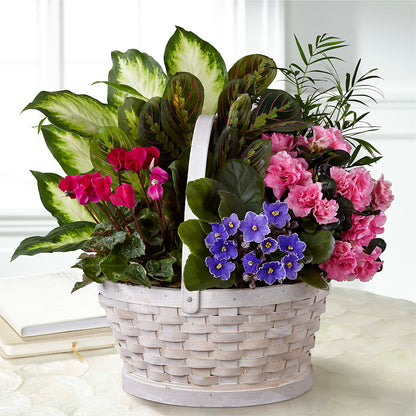 Peaceful Garden Planter –  The Owls Nest Florist, York SC