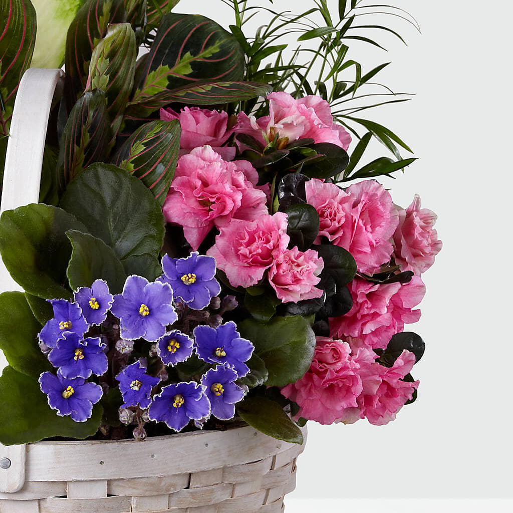 Peaceful Garden Planter –  The Owls Nest Florist, York SC