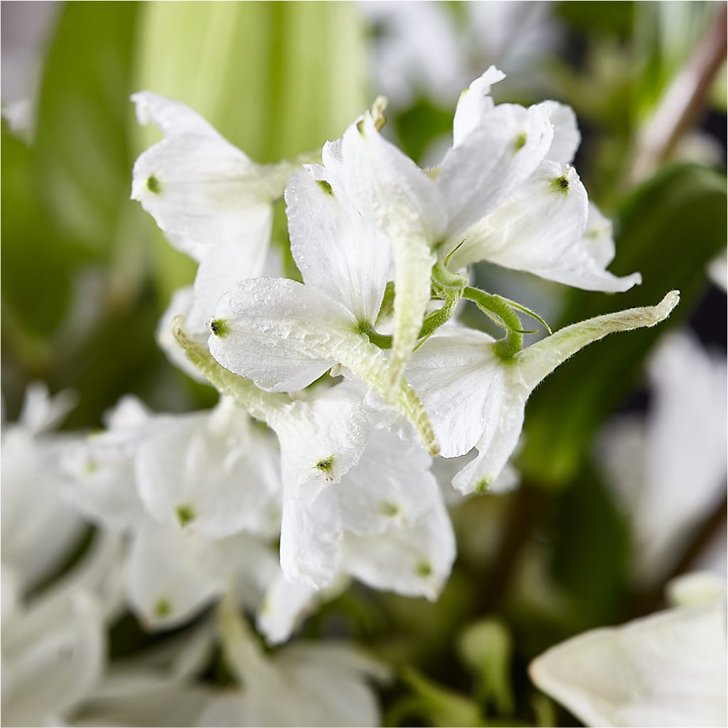 Classic Ivory – A Florist Original –  The Owls Nest Florist, York SC