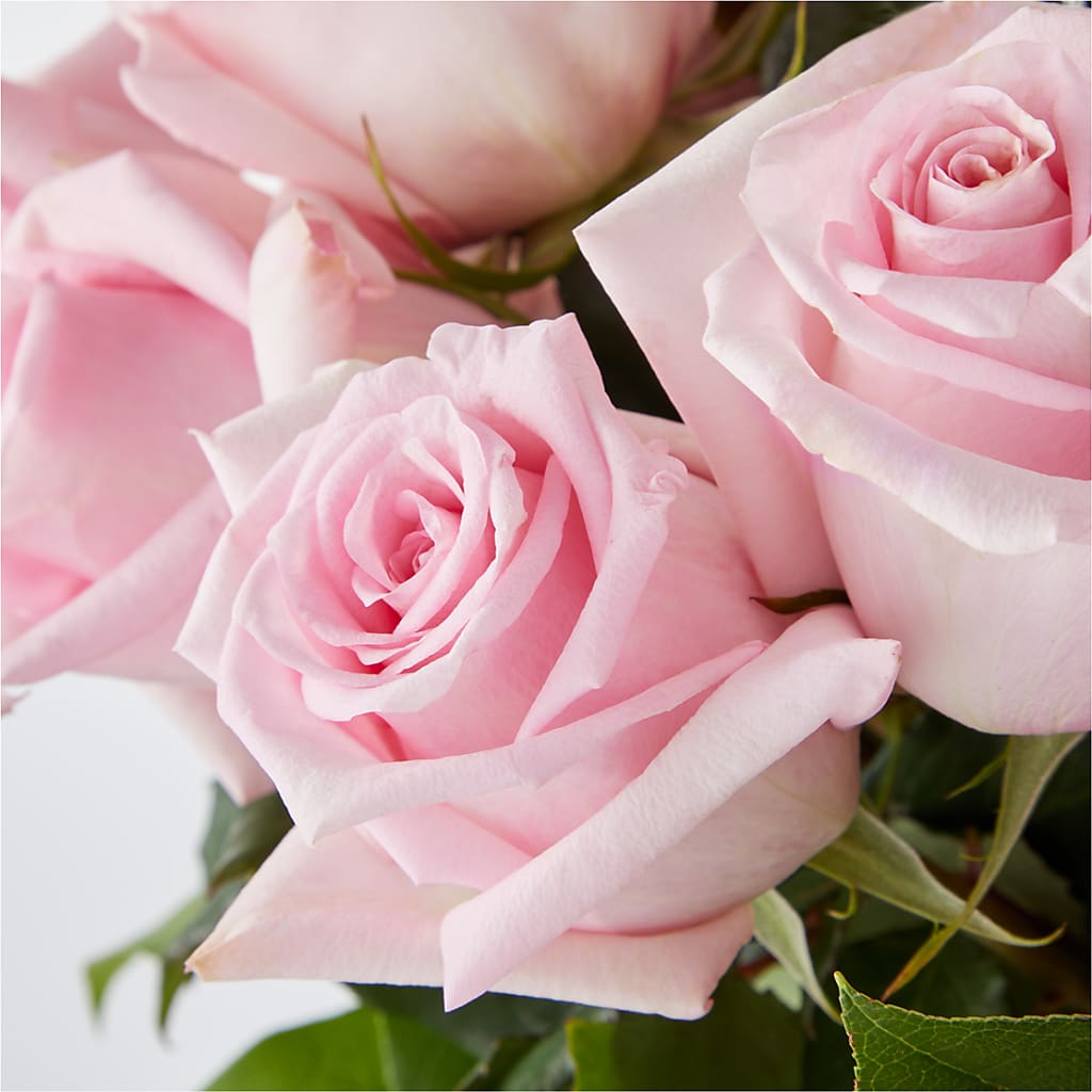 Picture Perfect Pink Rose Bouquet –  The Owls Nest Florist, York SC