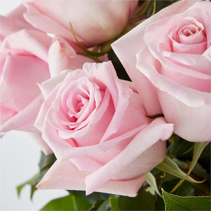 Picture Perfect Pink Rose Bouquet –  The Owls Nest Florist, York SC