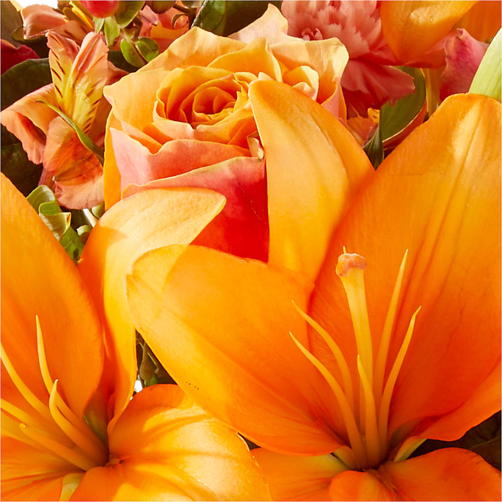 Afternoon Light Bouquet –  The Owls Nest Florist, York SC