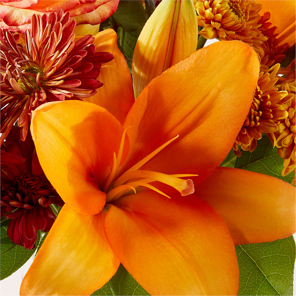Autumnal Aroma Bouquet –  The Owls Nest Florist, York SC