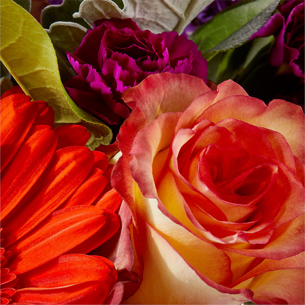 Sangria Bouquet –  The Owls Nest Florist, York SC