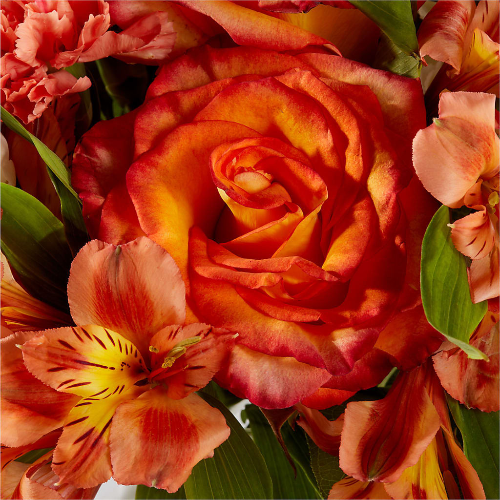 Apricot Glow Bouquet –  The Owls Nest Florist, York SC