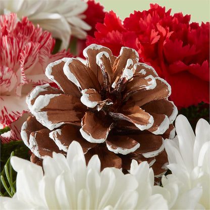 Candy Cane Lane Bouquet –  The Owls Nest Florist, York SC
