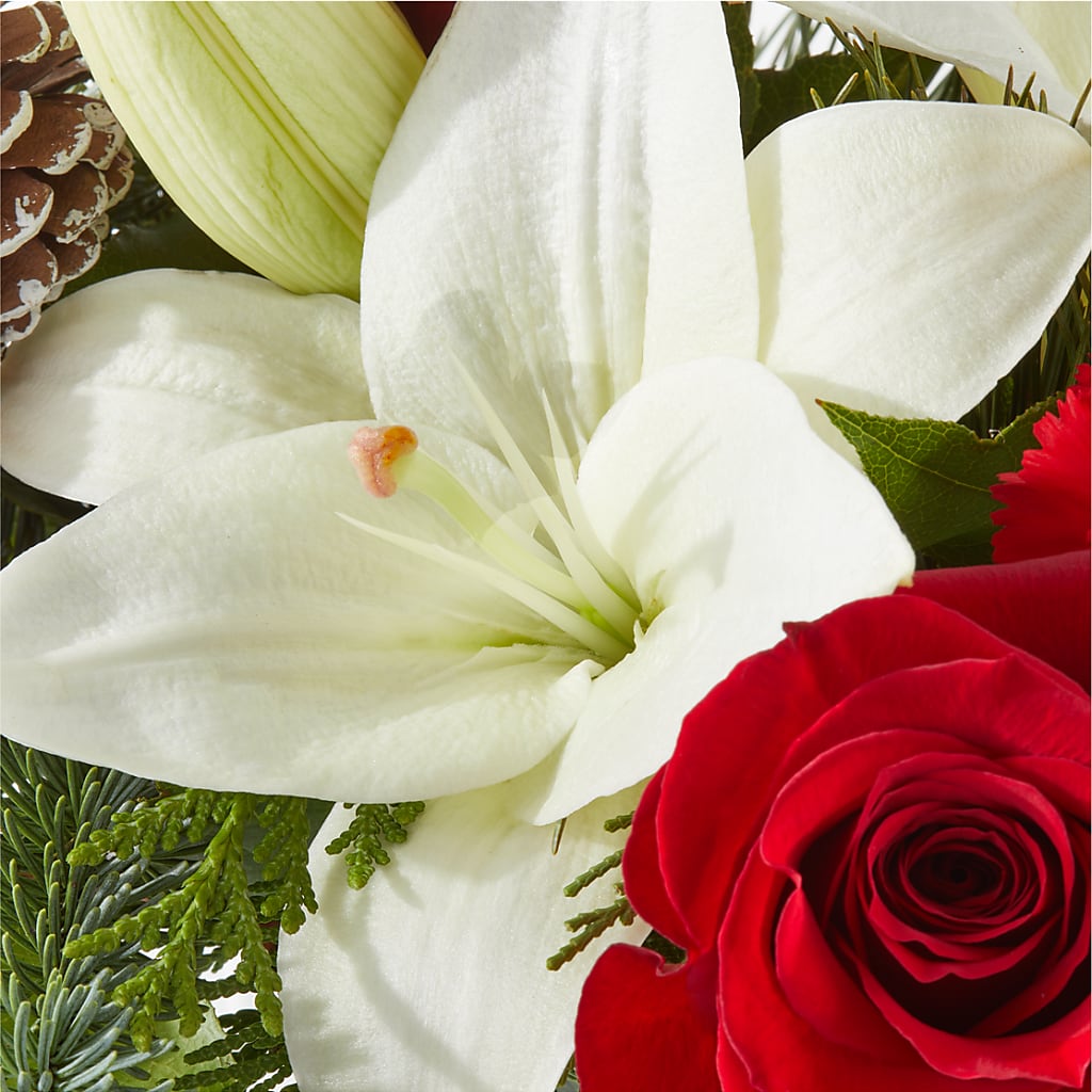 Oh So Jolly Bouquet –  The Owls Nest Florist, York SC