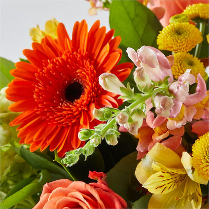 Autumn Sunshine Bouquet –  The Owls Nest Florist, York SC
