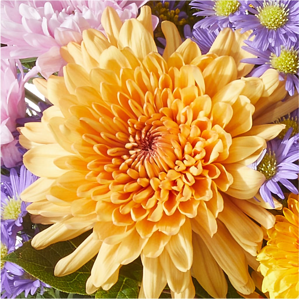 Countryside Bouquet –  The Owls Nest Florist, York SC