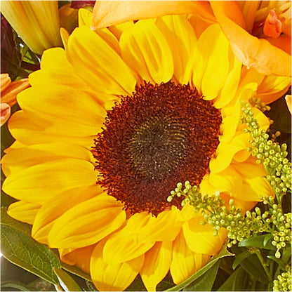 Seasons Change Bouquet –  The Owls Nest Florist, York SC